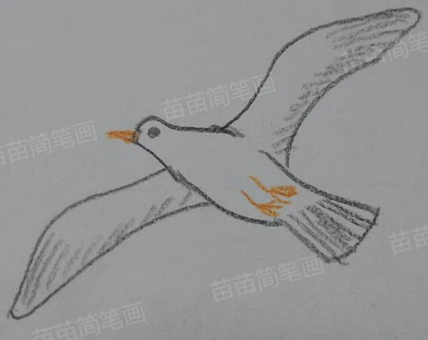 海鸥简笔画教程：如何绘制可爱又简单的海鸥