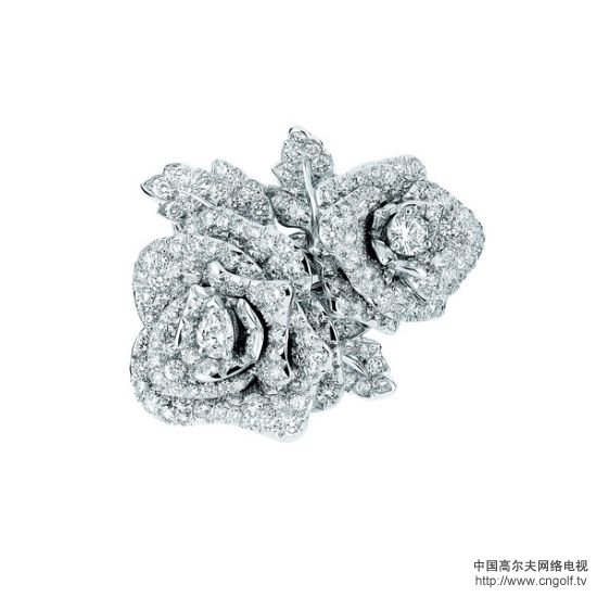 Dior玫瑰绽放：指尖上的璀璨美丽