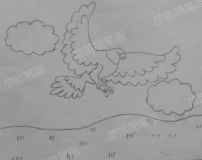 飞翔的老鹰简笔画绘制方法