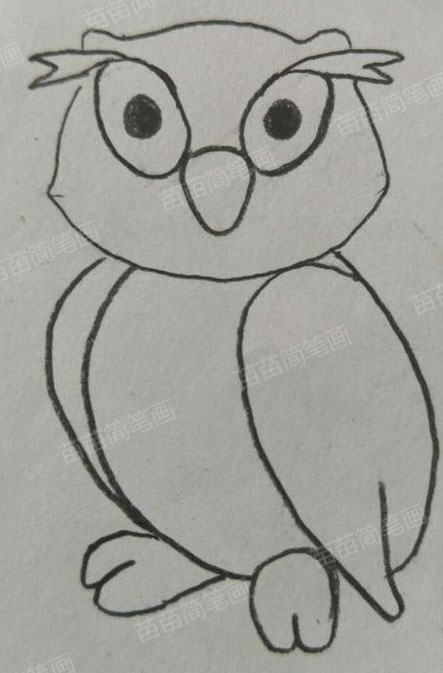 如何绘制简单又漂亮的猫头鹰简笔画