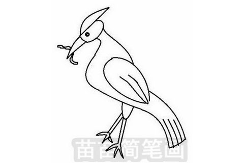 如何绘制啄木鸟简笔画