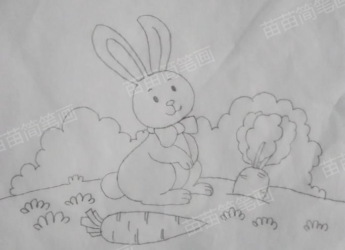 小兔子拔萝卜简笔画教程：如何画出可爱又简单的形象