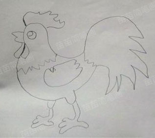 大公鸡简笔画教程：简单又美观的画法