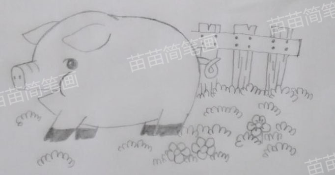小猪简笔画教程：如何绘制简单又好看的猪猪