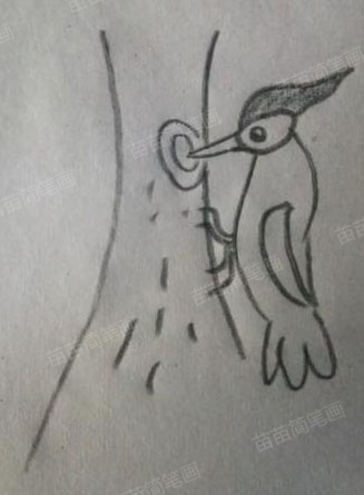 啄木鸟简笔画教程：如何画出可爱又简单的啄木鸟