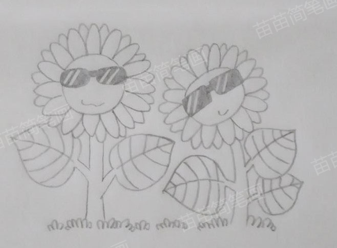 向日葵简笔画教程：简单易学，让你轻松画出美丽的向日葵