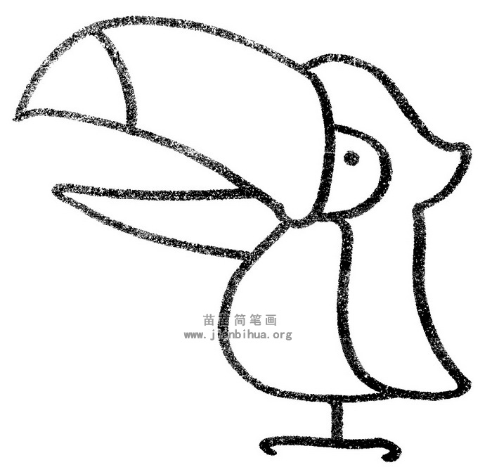 大嘴鸟简笔画图片与知识