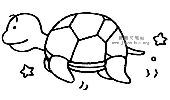乌龟简笔画图片教程与知识