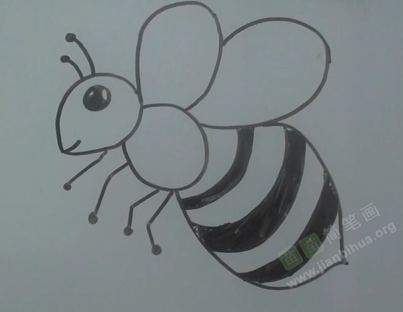 蜜蜂简笔画教程_教你如何画蜜蜂视频