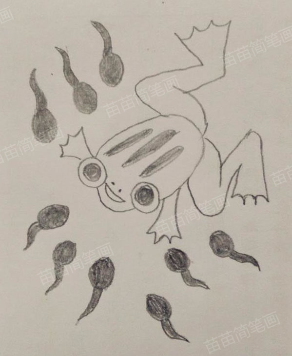 小蝌蚪找妈妈简笔画教程：如何绘制可爱又简单的形象