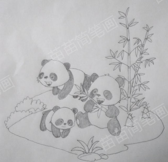熊猫简笔画教程第四部分：细节描绘与完成作品