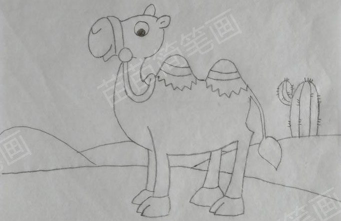 小骆驼简笔画教程