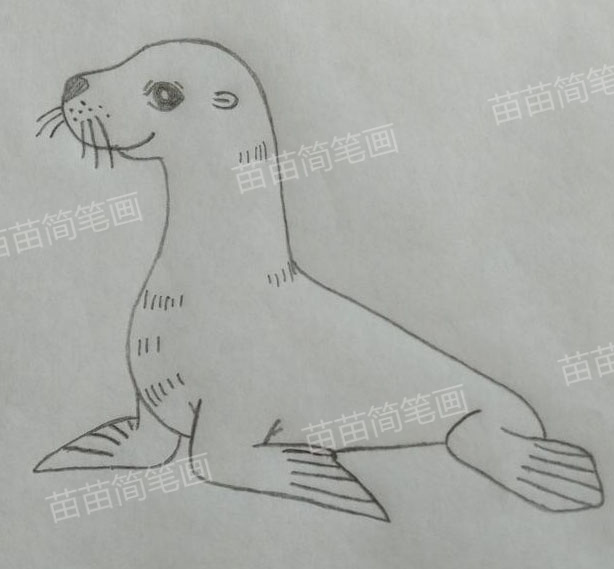 海豹简笔画教程：如何画出可爱又简单的海豹