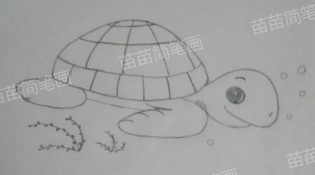 海龟简笔画教程：轻松画出可爱又简单的海龟