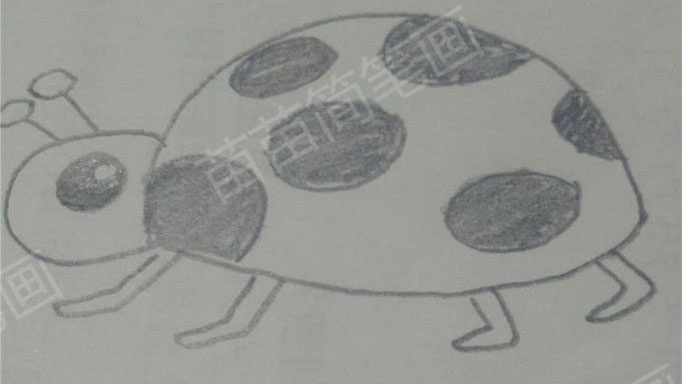 金龟子简笔画教程
