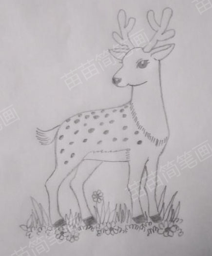 梅花鹿简笔画教程：如何绘制可爱又简单的梅花鹿