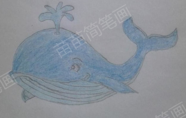 鲸鱼简笔画教程：如何绘制可爱又简单的鲸鱼