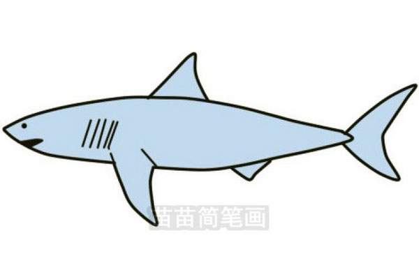 鲨鱼简笔画教程：轻松掌握画鲨鱼的技巧