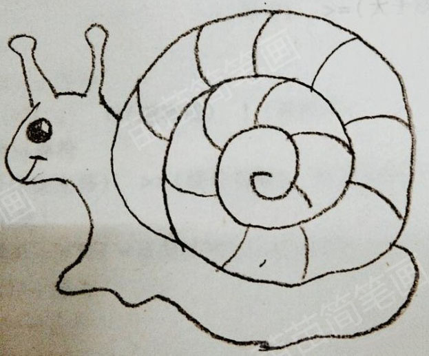 蜗牛简笔画教程：轻松学会如何画一个简单又好看的蜗牛