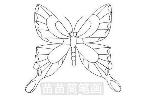如何绘制简单又漂亮的蝴蝶简笔画