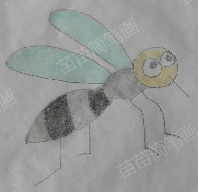 如何绘制简单又漂亮的蚊子简笔画