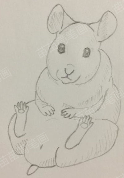 小仓鼠简笔画教程：如何绘制可爱又简单的仓鼠