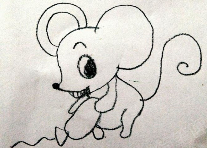 老鼠偷萝卜简笔画绘制步骤