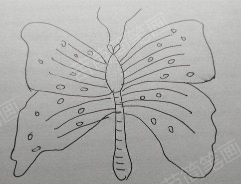 如何绘制简单又漂亮的蝴蝶简笔画第四部分