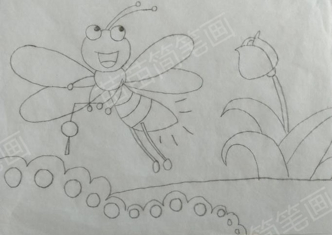 简单几步教你画出可爱的萤火虫简笔画