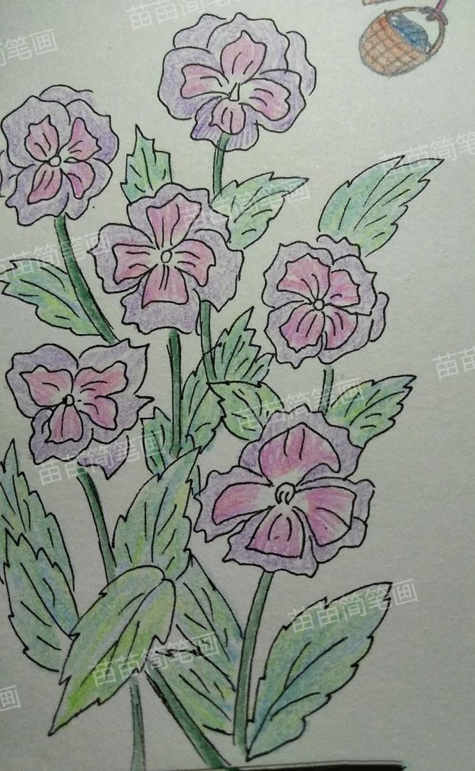 四紫苔简笔画教程