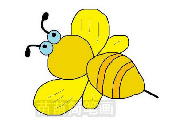 小蜜蜂简笔画教程：如何绘制简单又美丽的蜜蜂