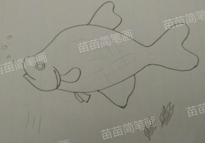 如何绘制简单又漂亮的鲤鱼简笔画