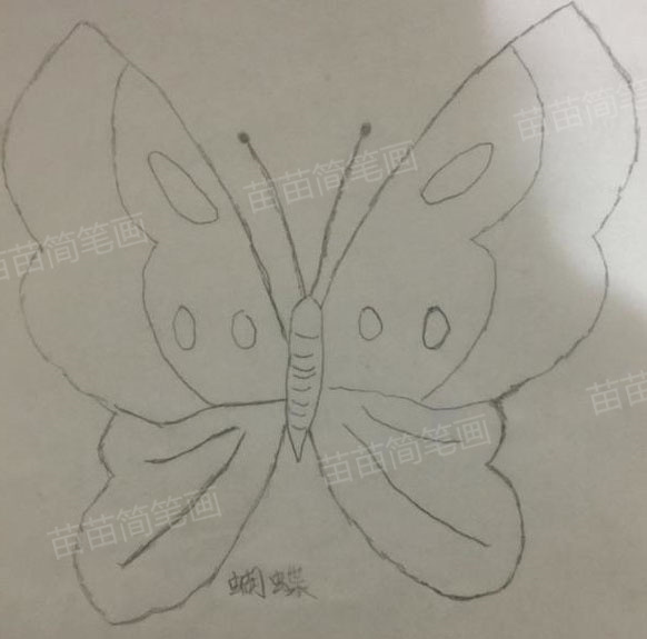 蝴蝶简笔画教程：轻松画出美丽蝴蝶的三种方法