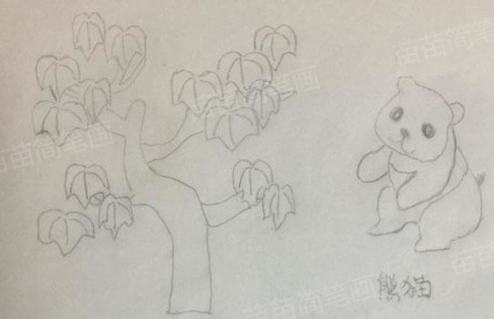 枫树和熊猫简笔画教程