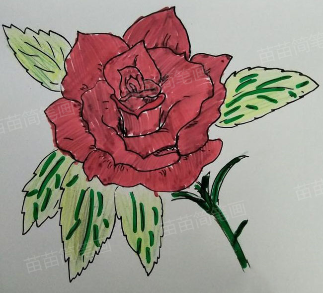 玫瑰花简笔画教程：简单又漂亮的画法