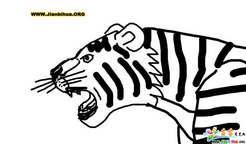 如何画一只可爱的老虎简笔画