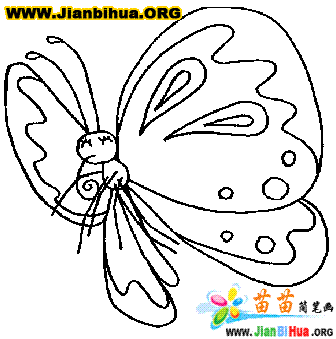 如何绘制漂亮的蝴蝶简笔画