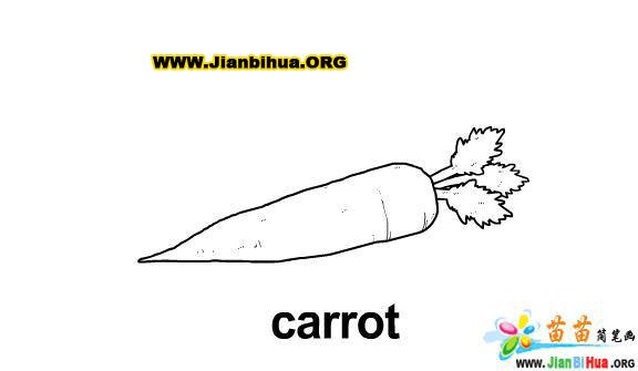 胡萝卜简笔画图片,教你如何绘制胡萝卜