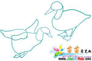 12步教你如何画鸭子简笔画