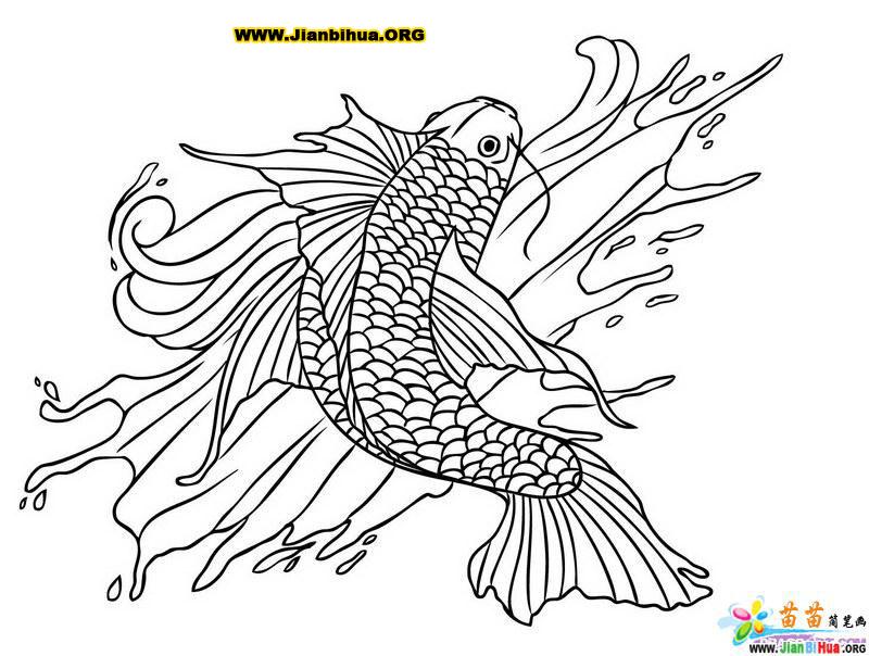 鱼形图案简笔画教程