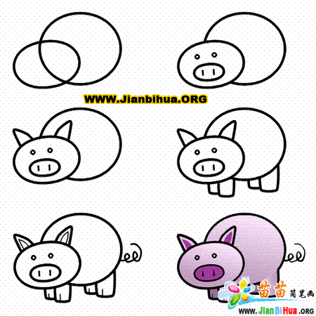 如何绘制小猪简笔画教程