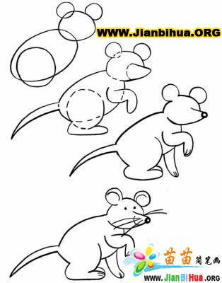 学习简笔画：老鼠的绘画技巧与教程