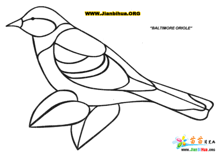 鸟类简笔画教程：5种鸟类的绘制方法