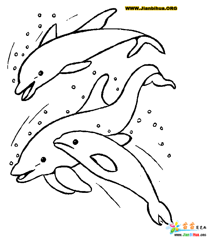 海豚简笔画作品欣赏
