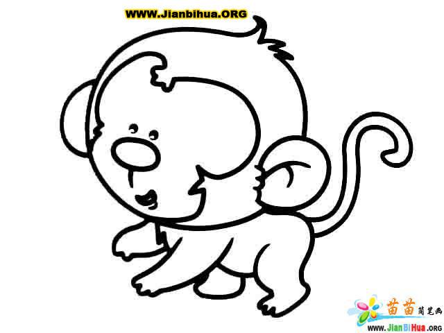 动物简笔画教程：猴子、老鼠、蝙蝠与猫的绘画技巧