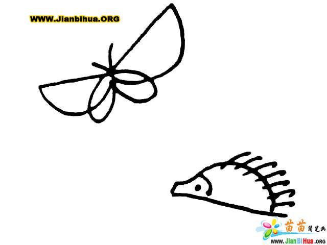 昆虫动物类简笔画技法教程：12张图片详解