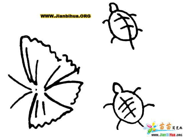 蝴蝶、蜜蜂、乌龟简笔画图片（10张）