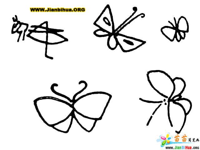 蝴蝶、蜜蜂、乌龟简笔画图片（10张）