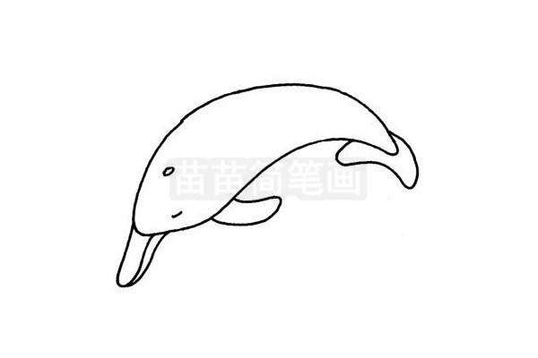 海豚简笔画图片步骤四