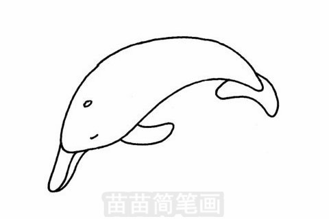 海豚简笔画大图